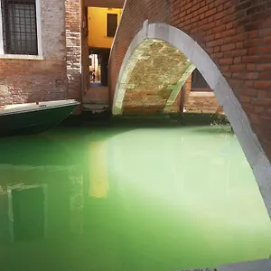 The Secret Garden In The Very Heart Of Apartamento